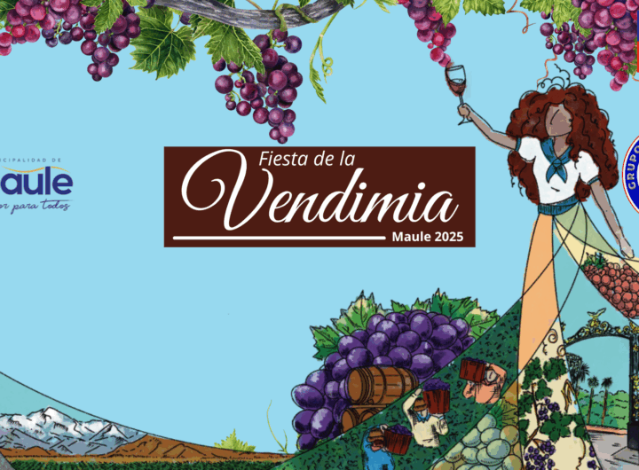 VENDIMIA MAULE 2025