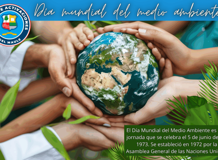 DIA DEL MEDIO AMBIENTE
